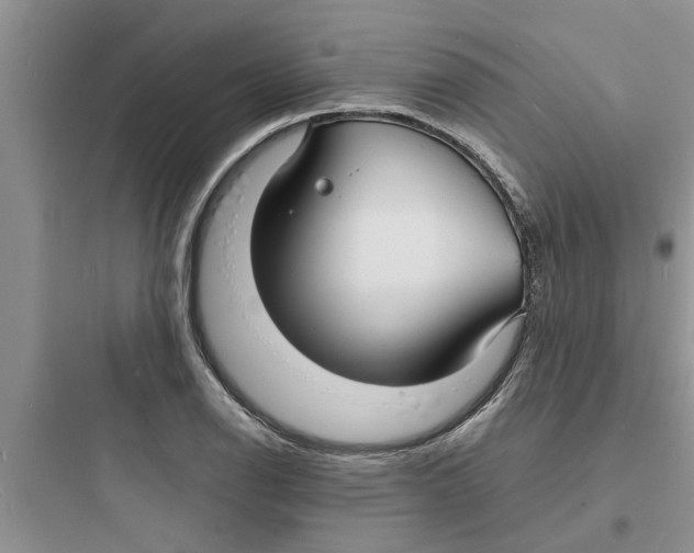 X0000097621126200803211739