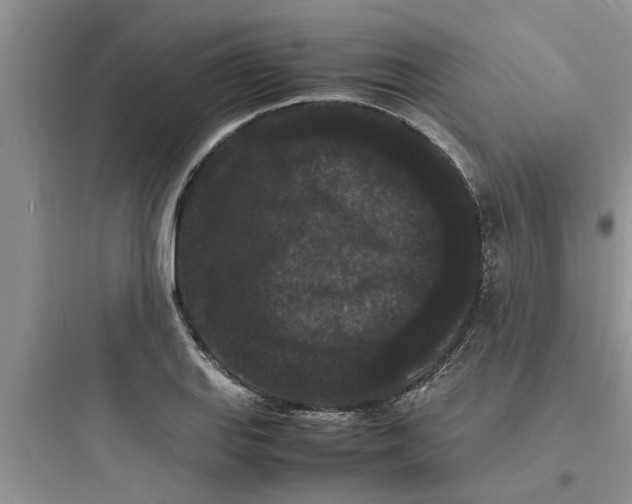 X0000097621127200803211739