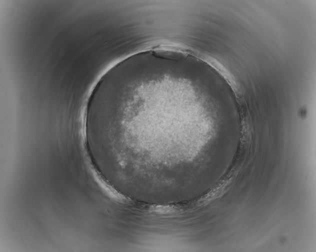 X0000097621128200803211739