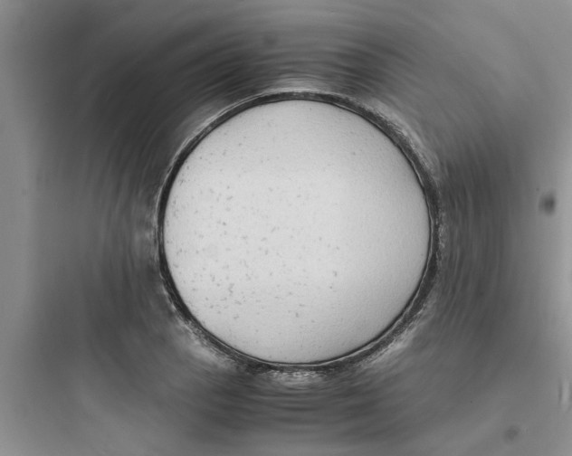 X0000097621129200803211739