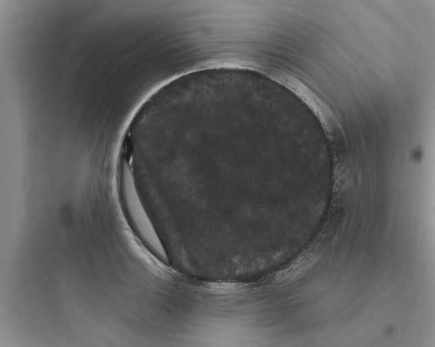 X0000097621132200803211739