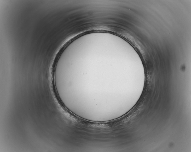 X0000097621133200803211739