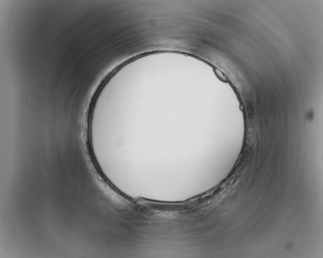 X0000097621136200803211739