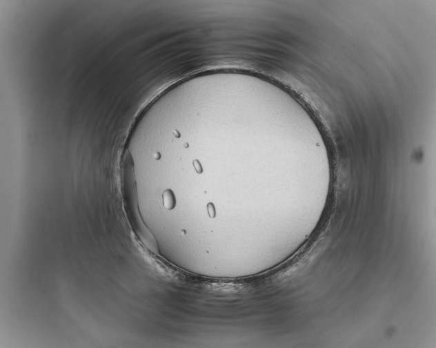 X0000097621137200803211739