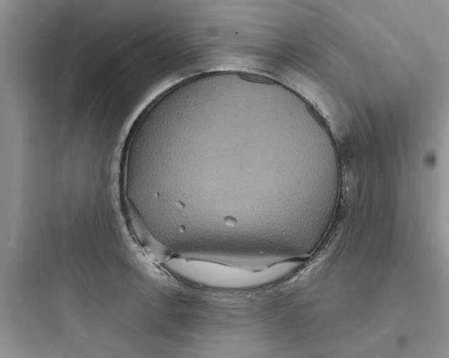 X0000097621138200803211739