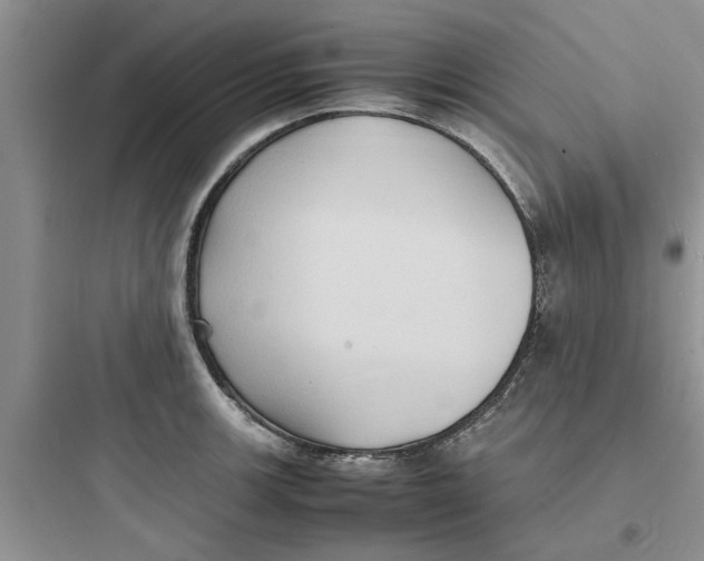 X0000097621139200803211739
