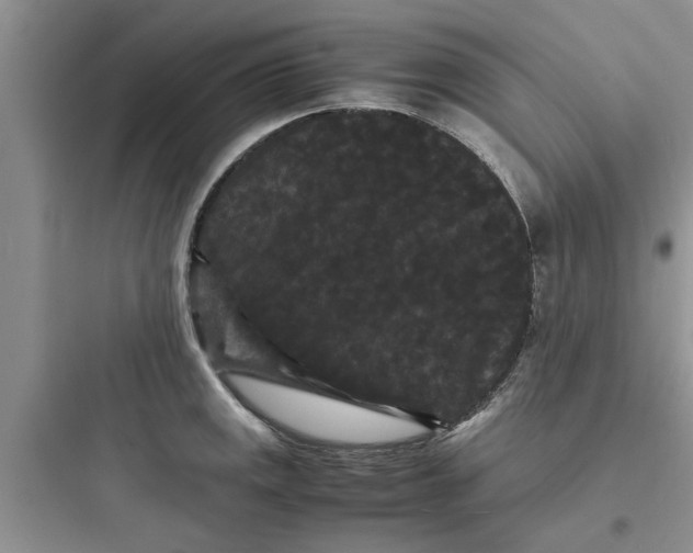 X0000097621141200803211739