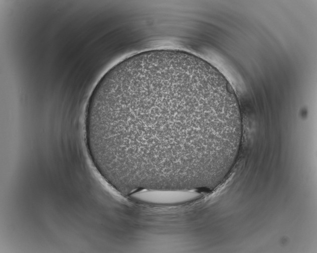 X0000097621142200803211739
