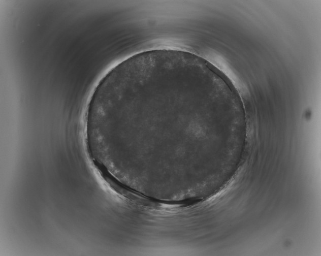 X0000097621144200803211739