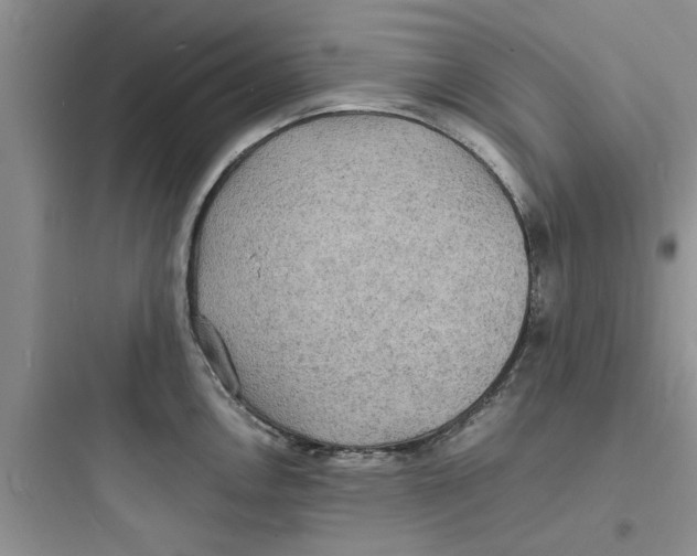X0000097621146200803211739