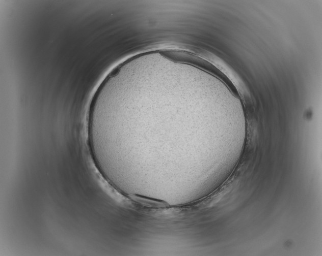 X0000097621148200803211739