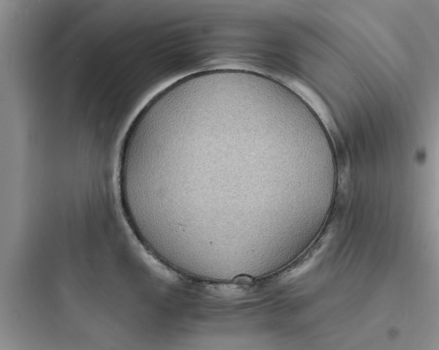 X0000097621149200803211739