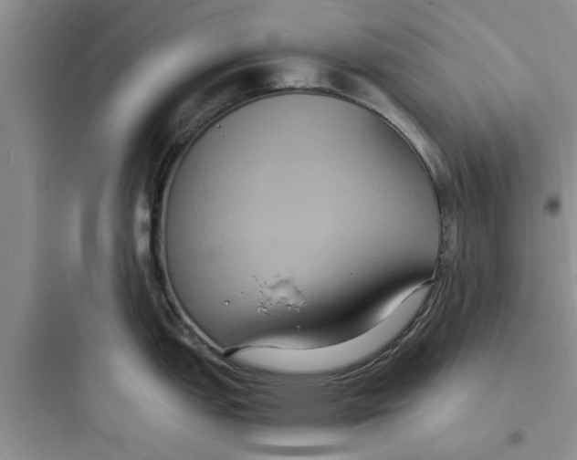 X0000097621151200803211739