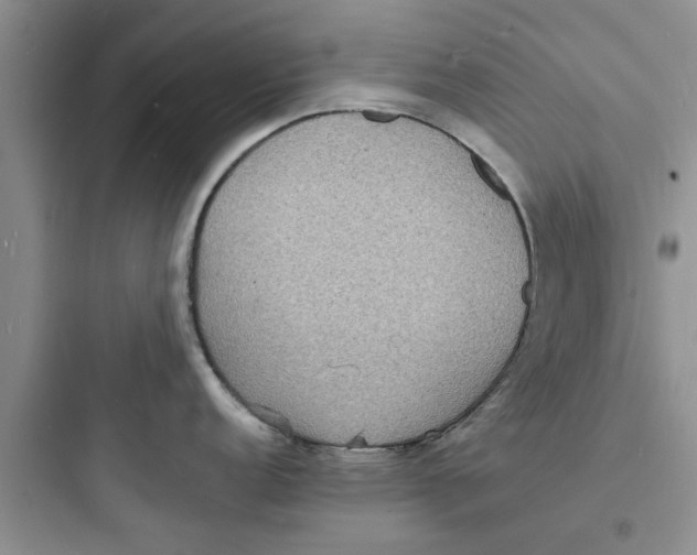 X0000097621152200803211739