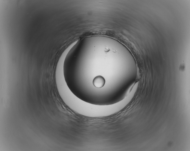 X0000097621154200803211739