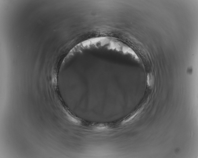 X0000097621155200803211739