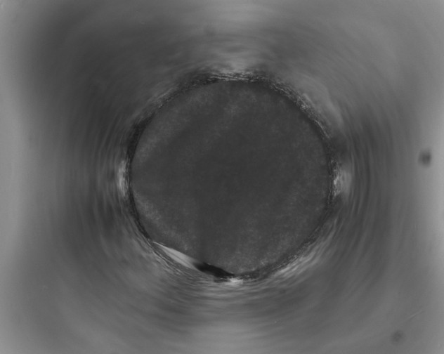 X0000097621156200803211739