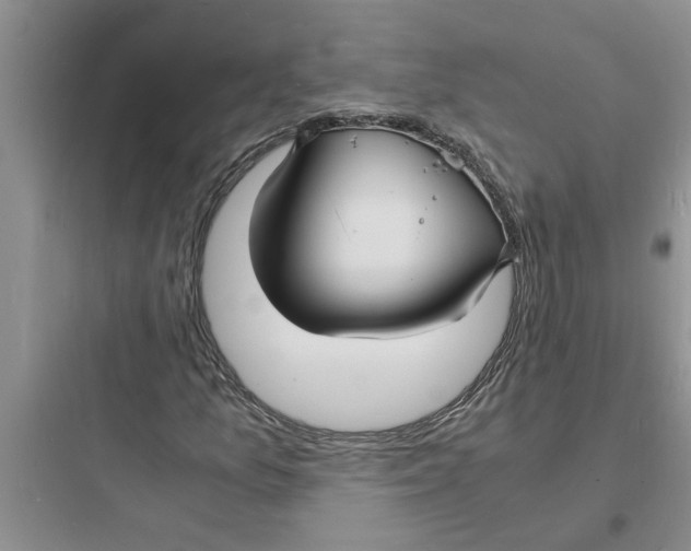 X0000097621157200803211739