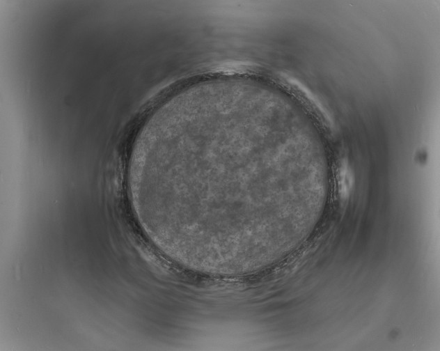 X0000097621158200803211739
