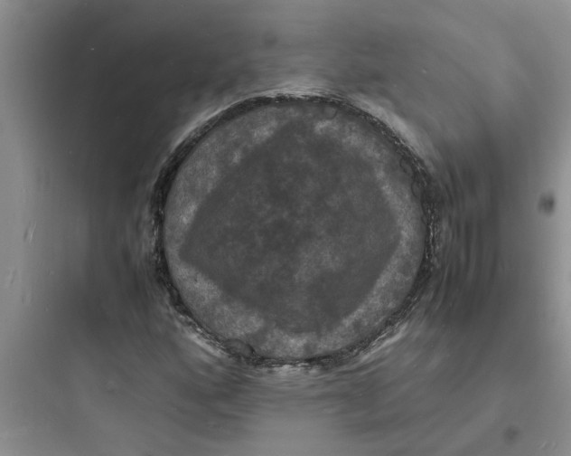 X0000097621160200803211739