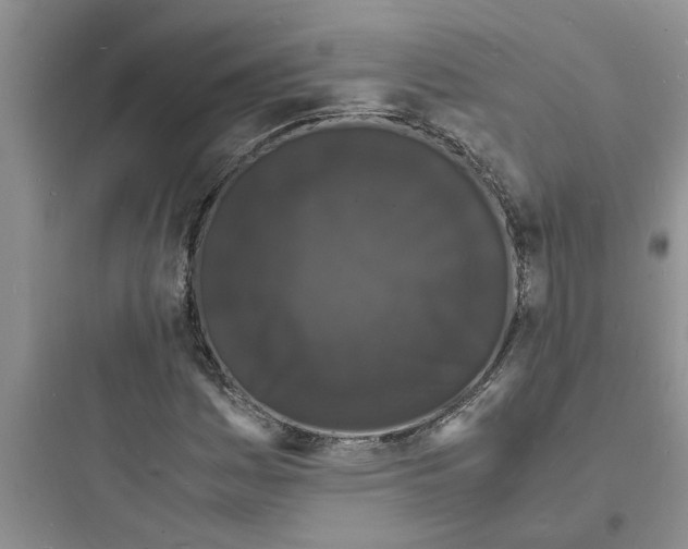 X0000097621161200803211739