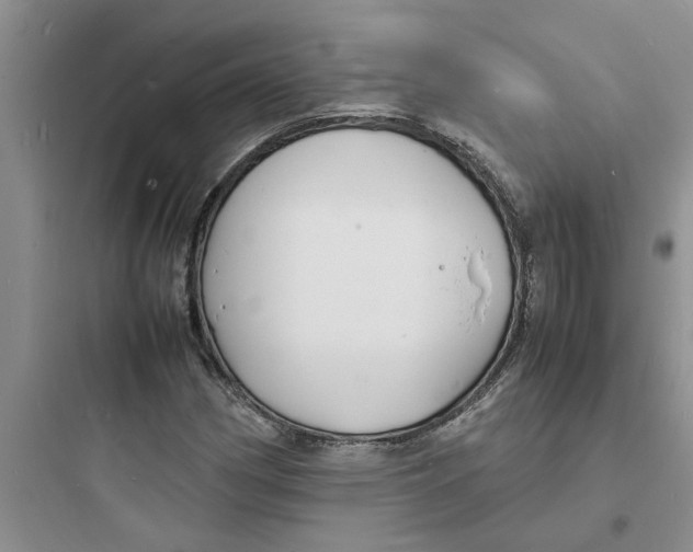 X0000097621162200803211739