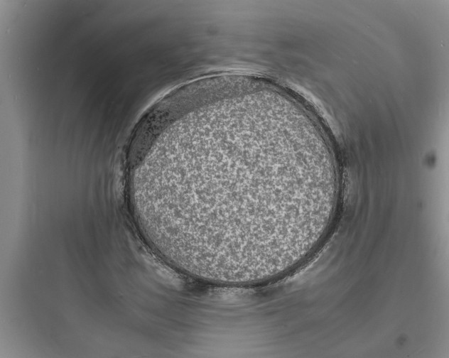 X0000097621163200803211739