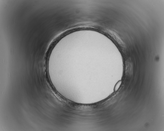 X0000097621164200803211739