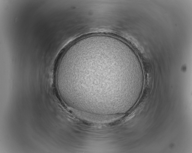 X0000097621165200803211739