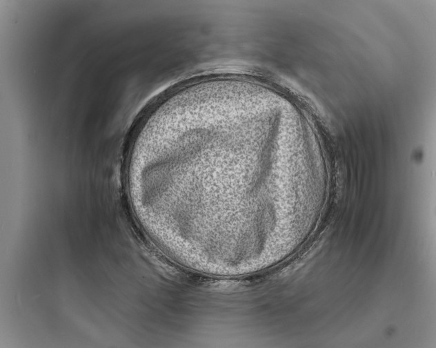 X0000097621166200803211739
