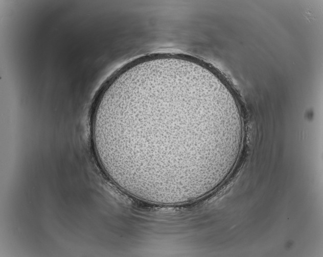 X0000097621167200803211739