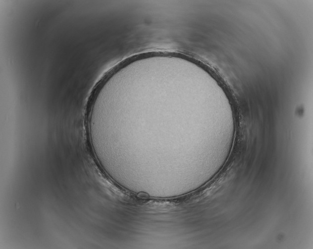 X0000097621168200803211739