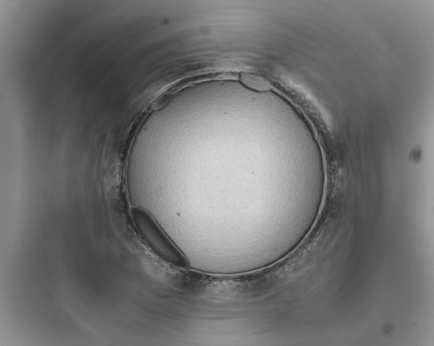 X0000097621169200803211739