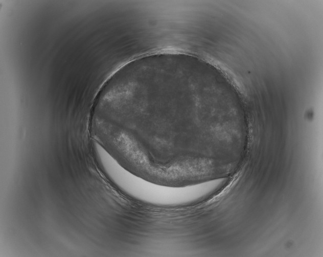 X0000097621170200803211739