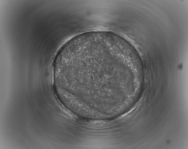 X0000097621171200803211739