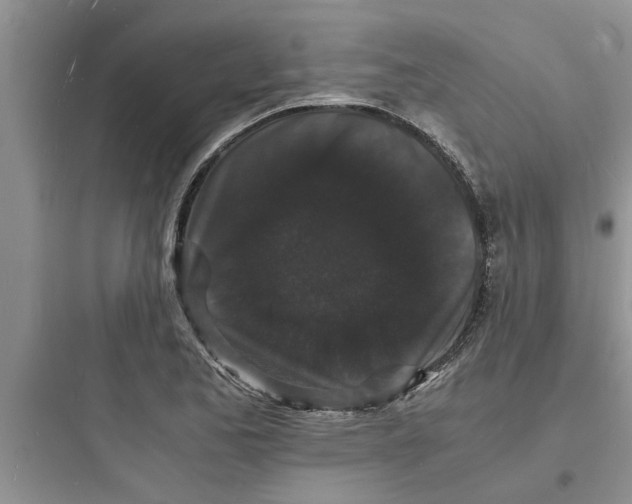 X0000097621173200803211739