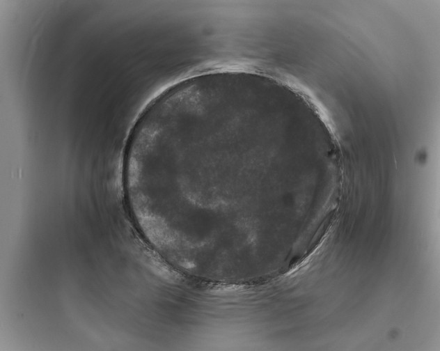 X0000097621174200803211738