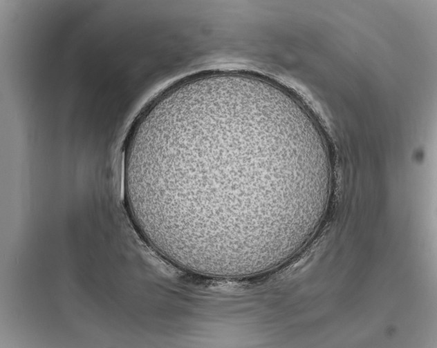 X0000097621175200803211738