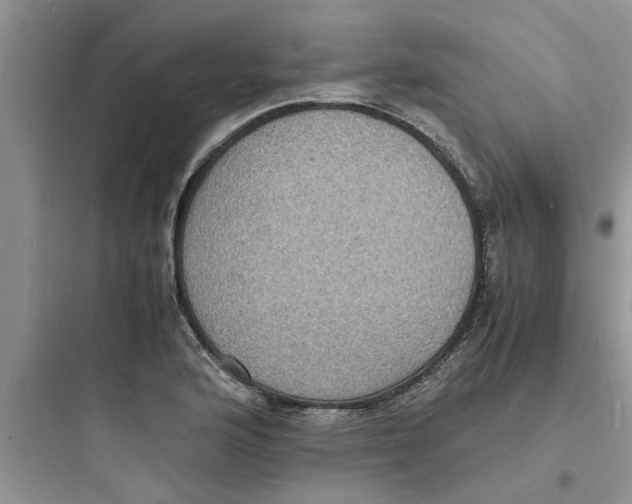 X0000097621176200803211738