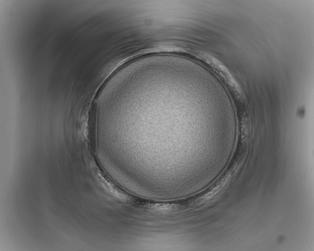X0000097621177200803211738