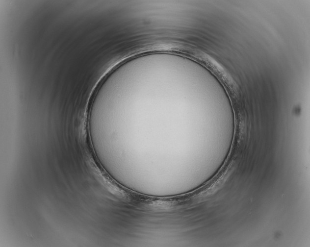 X0000097621178200803211738