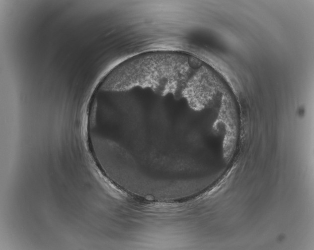 X0000097621179200803211738
