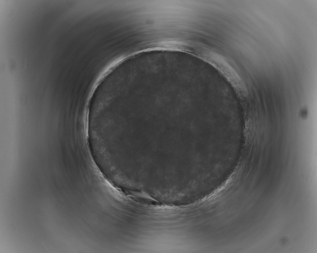 X0000097621180200803211738
