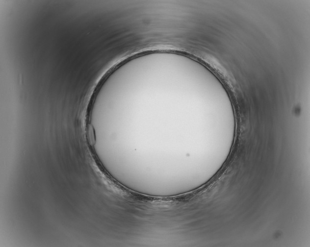 X0000097621181200803211738
