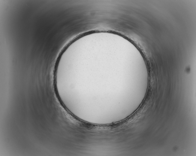 X0000097621183200803211738