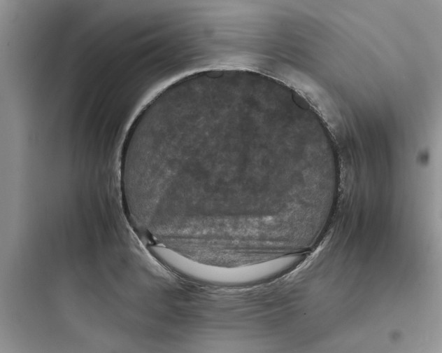X0000097621184200803211738