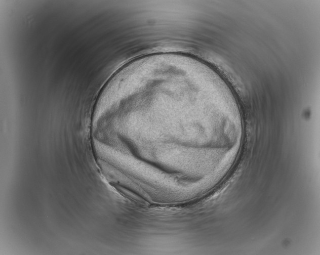 X0000097621185200803211738