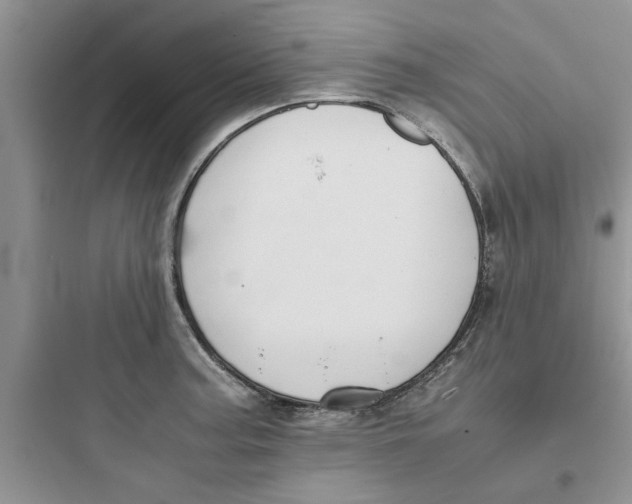 X0000097621187200803211738