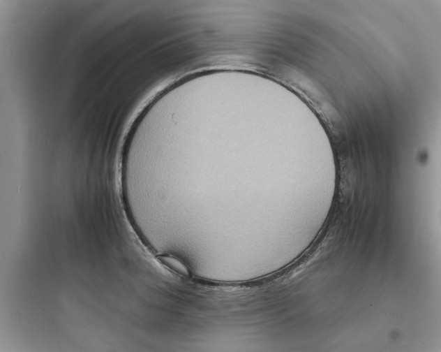 X0000097621188200803211738