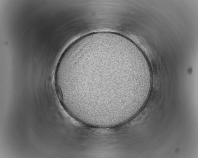 X0000097621189200803211738